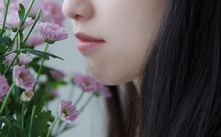 观月雏乃作品快播